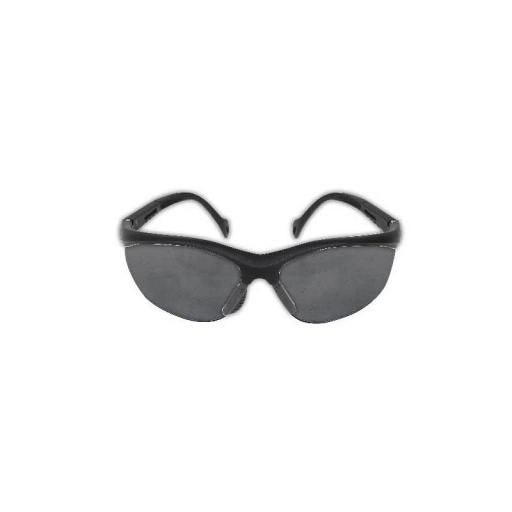 Lunette de portection beta verre fumé