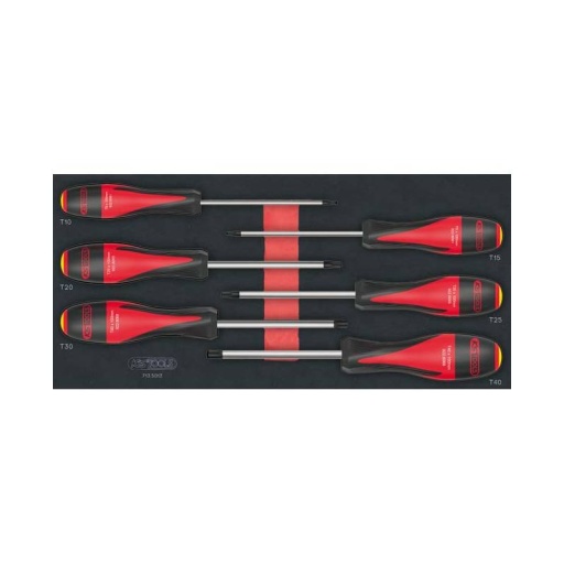 Module 6 tournevis torx ks tools