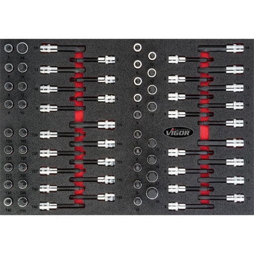 Module douille TORX-RIBE-XZN-ALLEN , 70 pièces