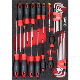Module tournevis vissage 31 pièces
- Plats : 3-4-5,5-6,5-8-10mm
- PH : 0-1-2-3
- Mini tournevis 3mm
- Clé allen 1,5-10mm
- Clé torx T10-T50
- Dimension 282x393mm