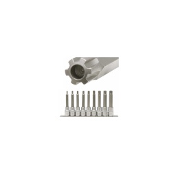 Rail douilles tournevis long ribe  1/2

- longueur 110mm - profil strie
- embout en acier s2
- composition: m5-6-7-8-9-10-12-13-14