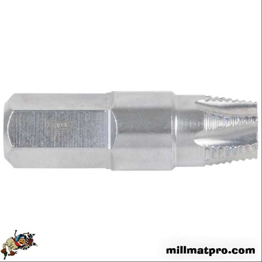 Embout d'extraction pour vis Torx T55