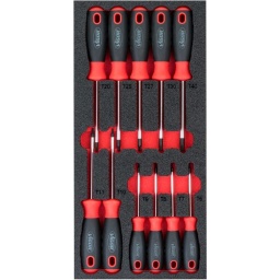 Module tournevis TORX 11 pièces 
- T6-T7-T8-T9-T10-T15-T20-T25-T27-T30-T40
- Dimension 188x393mm