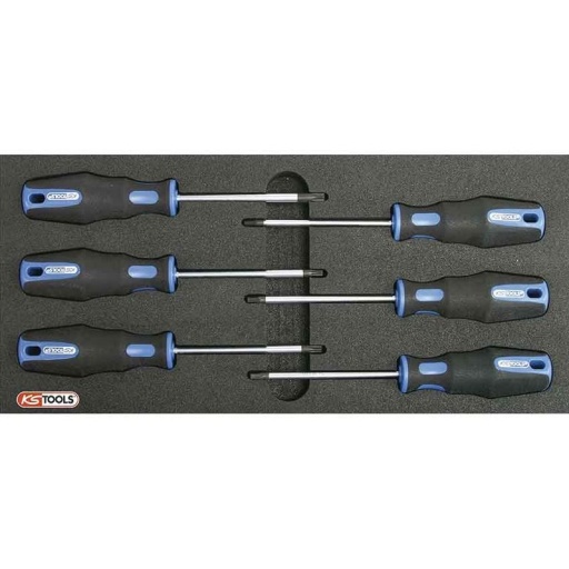 Module de tournevis torx ergotorqueplus 6 pièces