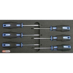 Module tournevis torx ergotorqueplus

- embouts en acier s2 ultra resistant
- poignée ergotorque 
- module de rangement en mousse haute densite

composition :
- 6 torx: t10-15-20-25-30-40

