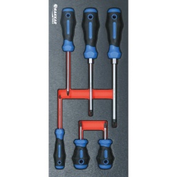 Module mousse 395x178mm métal tournevis pozidriv 6 pcs
Composition :
Module plein composé de 6 outils :-
6 tournevis Pozidriv® (PZ1x38-PZ2x38-PZ0x75-PZ1x100-PZ2x125-PZ3x150)
DIMENSIONS
395x178x32mm
POIDS 
0,525KG
