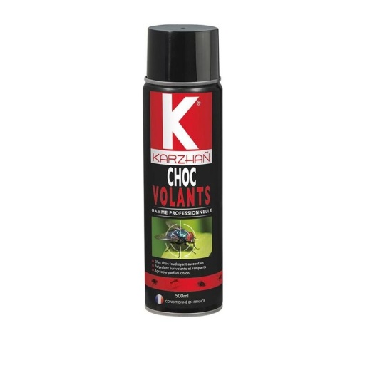 Insecticide CHOC INSECTES VOLANTS - aérosol de 500ml