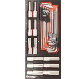 Composition : 31 outils
-10 clés mâles coudées Hex extra longues (ref.10706)
-9 clés mâles coudées Torx (ref.10718)
-12 douilles longues  1/2 ’’ (ref.10813/14/15/17/18/49/51/58/60/62/72/74)