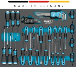 Module vissage Hazet 41 pièces
Dimensions / longueur : 519 mm x 392 mm
801NK-35-Tournevis Profil à fente ∙ 0.6 x 3.5 mm	
801NK-55-Tournevis Profil à fente ∙ 1 x 5.5 mm	
801NK-PH1-Tournevis Profil Phillips PH ∙ PH1	
801NK-PH2-Tournevis Profil Phillips PH ∙ PH2	
810-25-Tournevis Profil à fente ∙ 0.4 x 2.5 mm	
810-3-Tournevis Profil à fente ∙ 0.5 x 3 mm	
810-40-Tournevis Profil à fente ∙ 0.8 x 4 mm	
810-55-Tournevis Profil à fente ∙ 1 x 5.5 mm	
810-65-Tournevis Profil à fente ∙ 1.2 x 6.5 mm	
810-PH0-Tournevis Profil Phillips PH ∙ PH0	
810-PH1-Tournevis Profil Phillips PH ∙ PH1	
810-PH2-Tournevis Profil Phillips PH ∙ PH2	
810-T10-Tournevis Profil TORX® intérieur ∙ T10	
810-T15-Tournevis Profil TORX® intérieur ∙ T15	
810-T20-Tournevis Profil TORX® intérieur ∙ T20	
810-T25-Tournevis Profil TORX® intérieur ∙ T25	
810-T27-Tournevis Profil TORX® intérieur ∙ T27	
810-T30-Tournevis Profil TORX® intérieur ∙ T30	
810U-45-Tournevis avec percuteur Profil à fente ∙ 0.8 x 4.5 mm	
810U-55-Tournevis avec percuteur Profil à fente ∙ 1 x 5.5 mm	
810U-70-Tournevis avec percuteur Profil à fente ∙ 1.2 x 7 mm	
810U-PH1-Tournevis avec percuteur Profil Phillips PH ∙ PH1	
810U-PH2-Tournevis avec percuteur Profil Phillips PH ∙ PH2	
810U-PH3-Tournevis avec percuteur Profil Phillips PH ∙ PH3	
2105LG/9H-Jeu de clés mâles coudées Profil à 6 pans intérieurs ∙ 1.5 – 10 ∙ Nombre d'outils : 9	
2116LG/8H-Jeu de clés mâles coudées Profil TORX® intérieur ∙ 8 x ∙ Nombre d'outils : 8