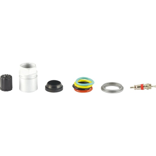 Coffret Master pour capteur RDKS /TPMS pour contrôle de la pression des pneus 17