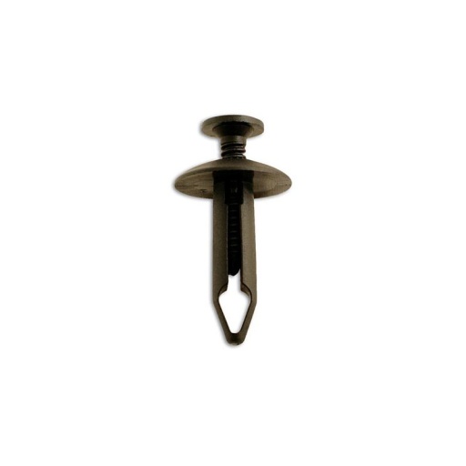 Sachet 50 agrafes ford