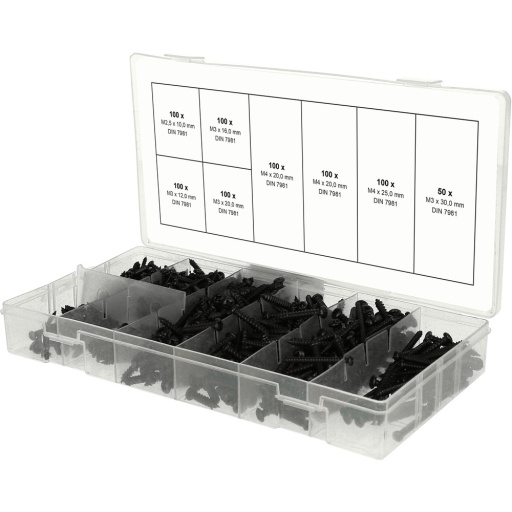 Assortiment de vis &agrave; t&ocirc;les &agrave; t&ecirc;te bomb&eacute;e M25-M3 750 pi&egrave;ces