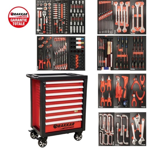 Servante complète Drakkar 249 outils dans module finition métale