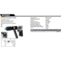 Perceuse réversible corp alu
• robuste et maniable
• Inverseur de rotation à levier
• Échappement de l'air par la poignée
Vitesse à vide	700 tours/min
Capacité mandrin	1÷13 mm
Puissance	0,25 kW
Filetage de la broche	1/2” - 20UNC
Filetage d'arrivée d'air	1/4" GAS
Pression d'utilisation	6,3 bar
Ø intérieur du tuyau d'air	10 mm
Consommation d'air moyenne	170 l/min
Poids	1.3kg