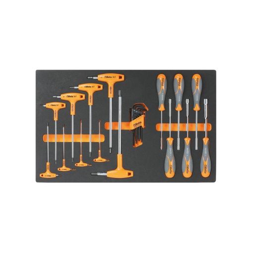 Module 23 clés allen + torx et tournevis douilles