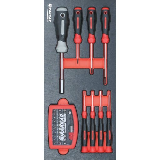Module tournevis micro 40 pièces