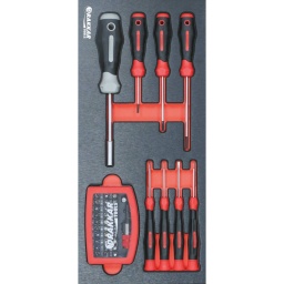 Module mousse 395x178mm métal tournevis mécaniciens et embouts 40 pcs
Composition :
Module plein composé de 40 outils :
8 tournevis
32 embouts hexagonal 1/4" acier S2 à code couleurDIMENSIONS
395x178x32mm
POIDS 
0,525KG