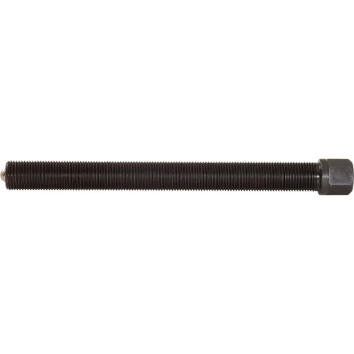 Vis de force 22x110 mm