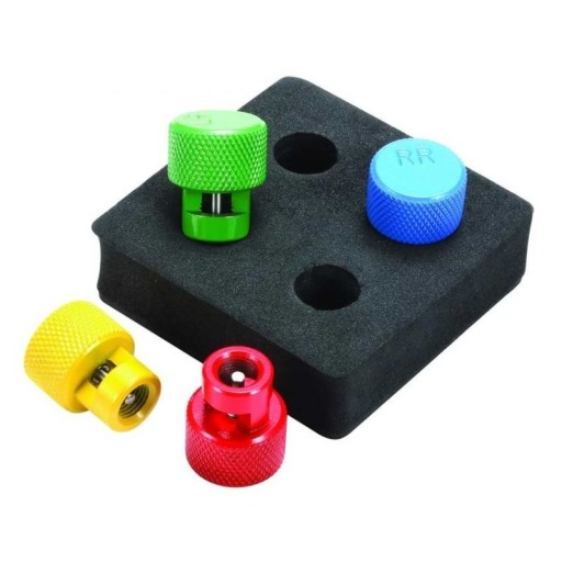 Jeu de 4 embouts purgeurs de pneus valves Tpms
