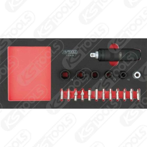 Module tournevis à frapper 19 pièces