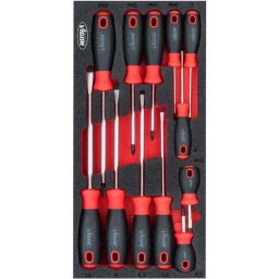 Module tournevis plats + cruciformes 12 pièces 
- Plats : 3-4-5,5-6,5-8-10mm
- PH : 0-1-2-3
- Tom pouce plat 5,5 - PH2
- Dimension 188x393mm