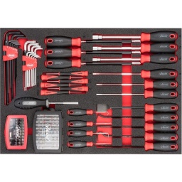 Module tournevis 97 pièces
- Embout de vissage 
- Jeu crocchet et grattoir
- Jeu clé allen, clé torx
- Micro tournevis
- Dimension 563x393mm