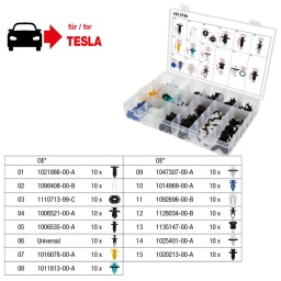 Pour Tesla