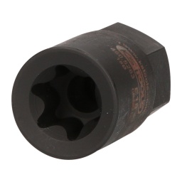 Idéale pour démonter et remonter les étriers de frein 
Profil TORX® E 
Entraînement 6 pans 22 mm 

