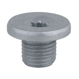 TORX® 
Avec joint 

