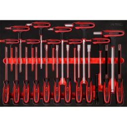 Module clé poignées en T et de tournevis dans module en mousse 22 pcs
