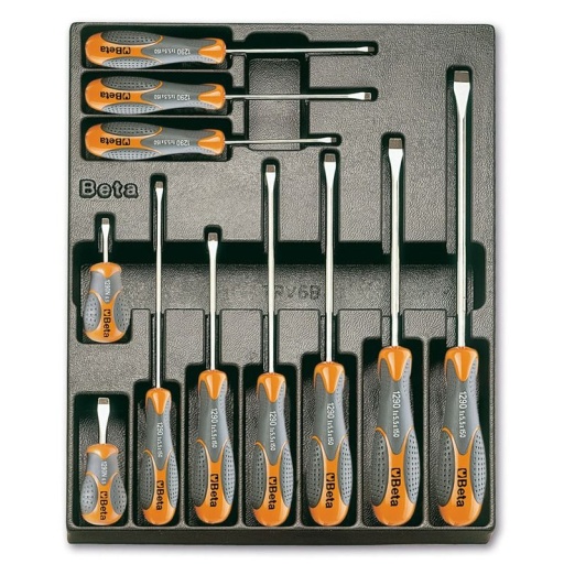 Module thermoformé tournevis plats beta 11 pièces