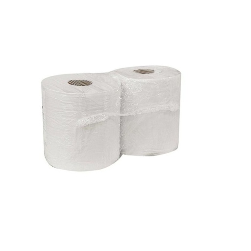 Ouate blanche 800 formats 210x250mm - lot de 2 bobines