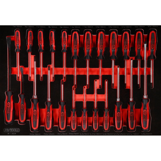 Module de tournevis dans module en mousse 24 pcs