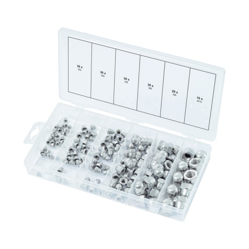 Assortiment 150 écrous borgnes en inox