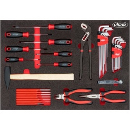 Module marteau, pinces, tournevis, clés mâles 55 pièces
Marteau
Tournevis plats 3-4-5,5-6,5mm
- PH0-PH1-PH2
3 pinces
- 6 chasses gouilles
- Jeu clés allen, clés torx
- Dimension 563x393mm