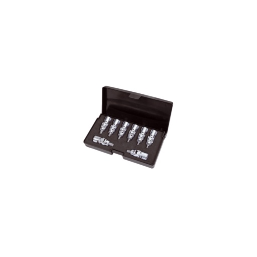 Coffret de douilles tournevis torx 1/4"