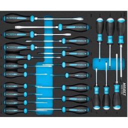 Composition :
802-30 Tournevis HEXAnamic® Profil à fente ∙ 0.6 x 3.5 mm	
802-40 Tournevis HEXAnamic® Profil à fente ∙ 0.8 x 4 mm	
810U-55 Tournevis ∙ avec percuteur Profil à fente ∙ 1 x 5.5 mm	
810U-PH3 Tournevis ∙ avec percuteur Profil Phillips PH ∙ PH3	
802-55 Tournevis HEXAnamic® Profil à fente ∙ 1 x 5.5 mm	
802-80 Tournevis HEXAnamic® Profil à fente ∙ 1.2 x 8 mm	
810U-PH1 Tournevis ∙ avec percuteur Profil Phillips PH ∙ PH1	
810U-70 Tournevis ∙ avec percuteur Profil à fente ∙ 1.2 x 7 mm	
810U-45 Tournevis ∙ avec percuteur Profil à fente ∙ 0.8 x 4.5 mm	
802-65 Tournevis HEXAnamic® Profil à fente ∙ 1.2 x 6.5 mm	
802-100 Tournevis HEXAnamic® Profil à fente ∙ 1.6 x 10 mm	
802-120 Tournevis HEXAnamic® Profil à fente ∙ 2 x 12 mm	
802-PH0 Tournevis HEXAnamic® Profil Phillips PH0	
802-PH1 Tournevis HEXAnamic® Profil Phillips PH1	
802-PH2 Tournevis HEXAnamic® Profil Phillips PH2	
802-PH3 Tournevis HEXAnamic® Profil Phillips PH3	
802-T8H Tournevis HEXAnamic® Profil TORX® « tamper résistant T8H	
802-T9H Tournevis HEXAnamic® Profil TORX® « tamper résistant T9H	
810U-PH2 Tournevis ∙ avec percuteur Profil Phillips PH2	
802-T10H Tournevis HEXAnamic® Profil TORX® « tamper résistant T10H	
802-T15H Tournevis HEXAnamic® Profil TORX® « tamper résistant T15H	
802-T20H Tournevis HEXAnamic® Profil TORX® « tamper résistant T20H	
802-T25H Tournevis HEXAnamic® Profil TORX® « tamper résistant T25H	
802-T30H Tournevis HEXAnamic® Profil TORX® « tamper résistant T30H
Module 522x435mm