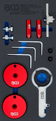 Module de calage pour Ford 2.0TDCi EcoBlue
