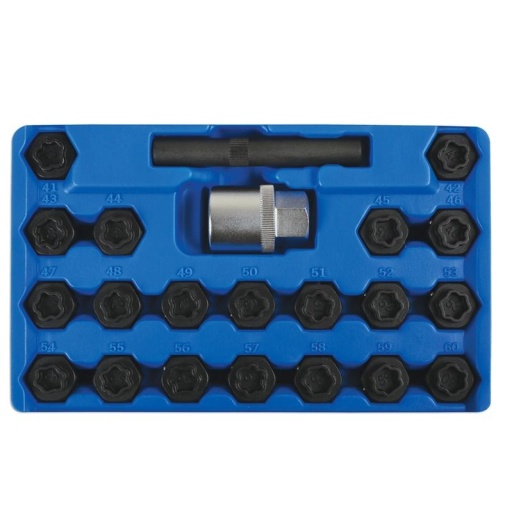 Kit pour écrous antivol - BMW 22 pcs