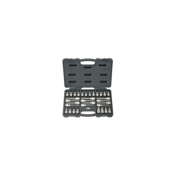 Coffret de douilles tournevis 

- embout en acier s2

- composition :
8 douilles tournevis 6 pans 55mm  5-6-7-8-10-12-14-17mm 4 douilles tournevis 6 pans 110mm  6-8-10-12mm 8 douilles tournevis torx 55mm  t25-t27-t30-t40-t45-t50-t55-t60
4 douilles tournevis torx 110mm  t30-t40-t50-t60
4 douilles xzn 55mm  m5-6-8-10
4 douilles xzn 110mm  m6-8-10-12