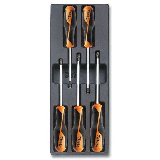 Module thermoformé tournevis torx gm betagrip 5 pièces