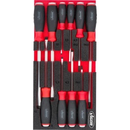 Module tournevis plats + cruciformes 10 pièces 
- Plats : 3,5-4-5,5-6,5-8-10-12mm
- PH : 1-2-3
- Dimension 188x393mm