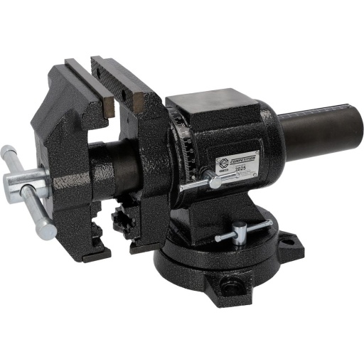 Etau 2 en 1 t&ecirc;te pivotante 125mm