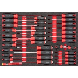 Module tournevis plat,cruci,torx,douilles 30 pièces
- Torx : T6-T7-T8-T9-T10-T15-T20-T25-T27-T30-T40
- PH: 0-1-2-1-2-3
- Plats:3-4-5,5-6,5-4-5,5-6,5-8-10
- Dimension 563x393mm