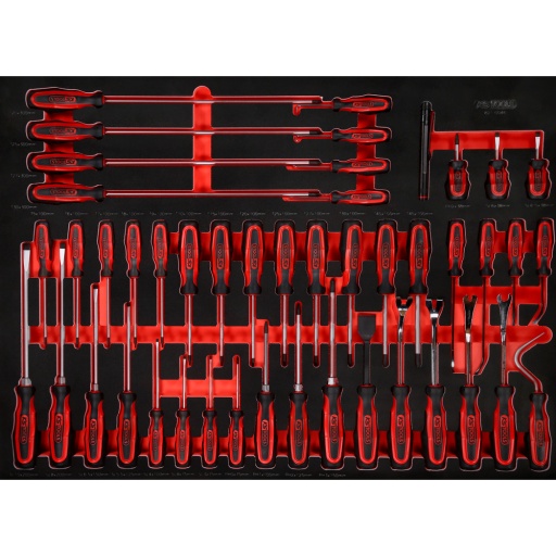 Module de tournevis dans module en mousse 46 pcs