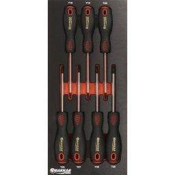 Composition : 7 outils
-7 tournevis Torx (T10-T15-T20-T25-T27-T30-T40)