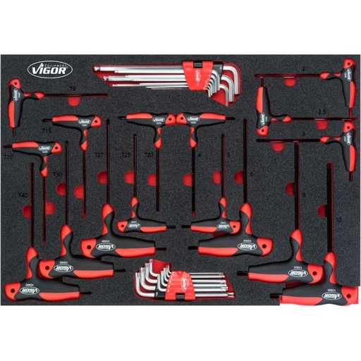 Module clés allen et clés torx 34 pièces