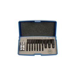 Kit extraction pour vis &agrave; t&ecirc;te torx
un kit essentiel pour extraire les fixations torx*
7 extracteurs avec un entra&icirc;nement 6 pans en 6mm   taille: e10/e15/e20/e25/e27/e30/e40
3 extracteurs avec un entra&icirc;nement 6 pans en 10mm   taille: e45/e50/e55
adaptateur en 1/2' x 10 mm (6 pans)