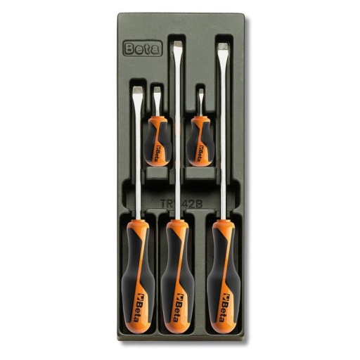Module thermoformé tournevis plats gm betagrip 5 pièces