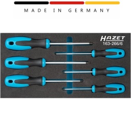 Module tournevis torx 6 pièces Hazet
Dimensions / longueur : 342 mm x 172 mm
Composition : T10-T15-T20-T25-T27-T30